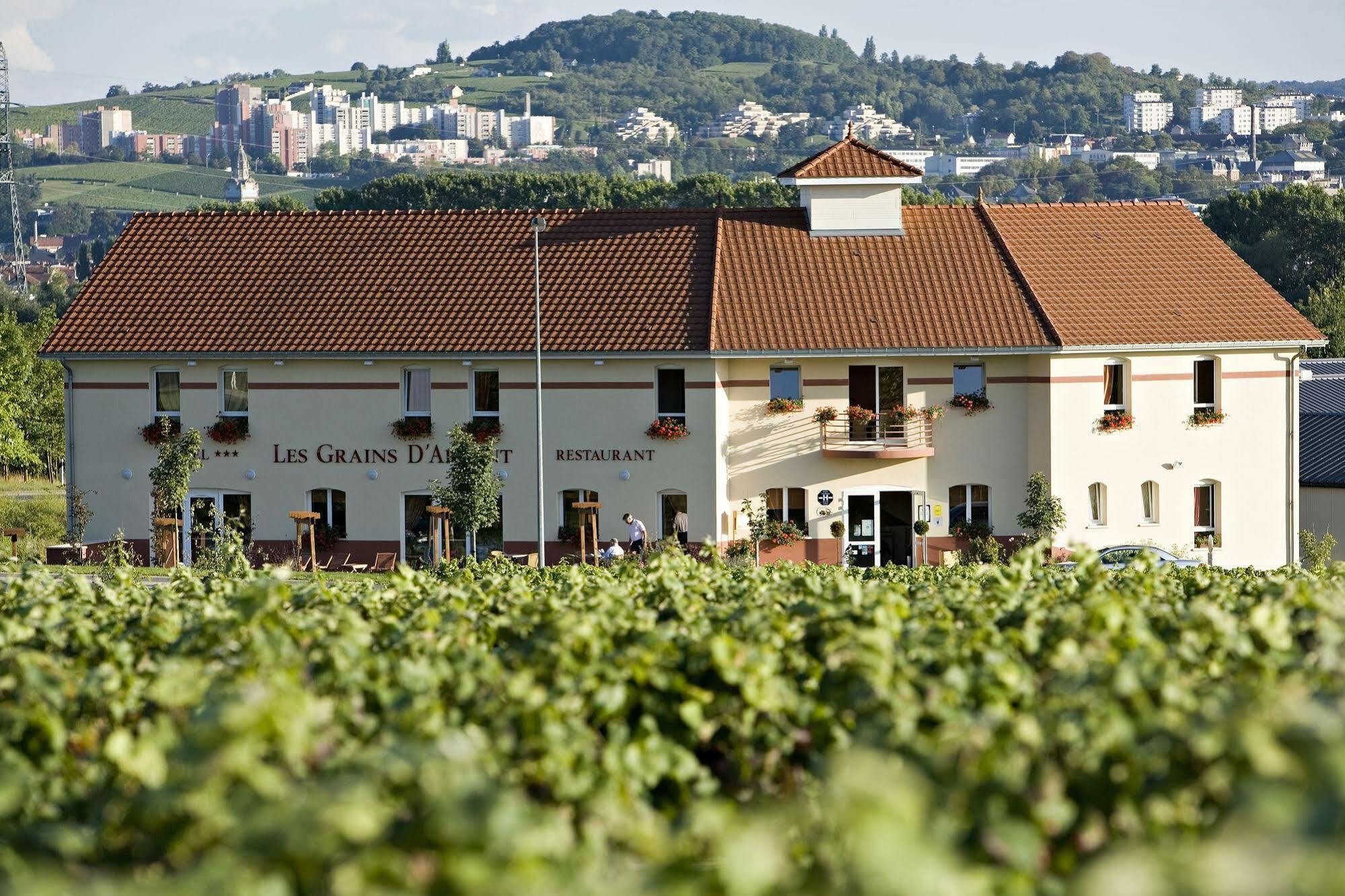 Hotel Restaurant Les Grains D'Argent Dizy - Epernay Екстериор снимка